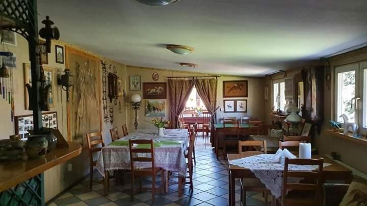 Afryka-puszcza Kampinoska Apartment
